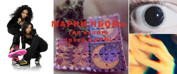 ECSTASY Алзамай