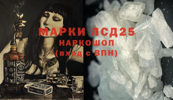 стаф Касимов