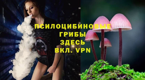mix Алексин