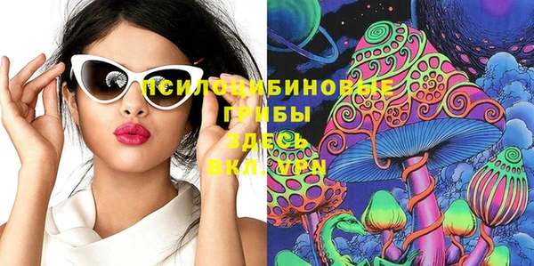 ECSTASY Алексеевка
