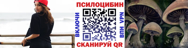 Галлюциногенные грибы прущие грибы Тимашёвск